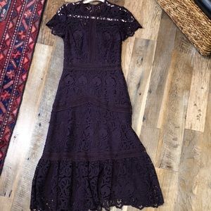 Purple (more in the eggplant color) lace dress. (